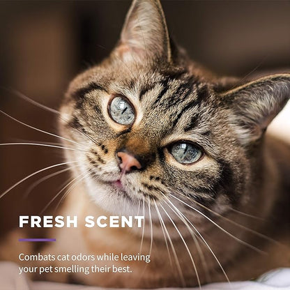 Wet Ones for Cats Freshening Wipes, Multi-Purpose Cat Grooming Wipes with Aloe Vera, Helps Remove Dirt, Odor, and Dander Between Baths, Fresh Scent, 50 Count - 3 Pack