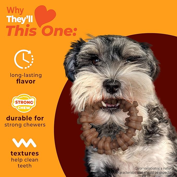 Nylabone Textured Ring Strong Chew Toy for Dogs Made with Real Beef & Chicken, Durable Dog Chew Bones for Aggressive Chewers, Keeps Dogs Busy, Small Dog Toys - Up to 25 lbs, 1 Count