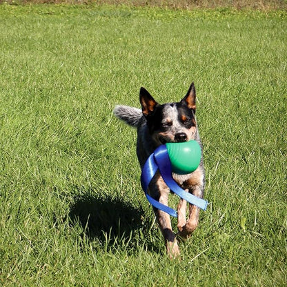 PetKORE: KoreFlex Ball & Tail - 4.75", Green, Dog Toy, Shape Maintaining Rubber, Durable Strap, Treat Stuffing Center, Bounce-Tug-Fetch-Chew, Pet Play