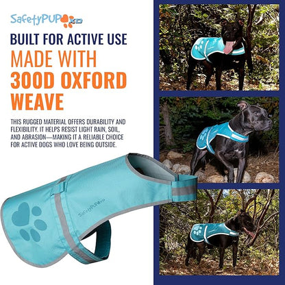 SafetyPUP XD Dog Reflective Vest – Hi-Vis Fluorescent Visibility That Helps to Safeguard Your Pet On/Off Leash in Urban & Rural Areas (Teal, Small)