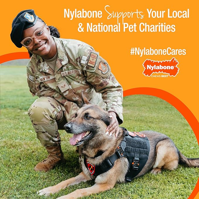 Nylabone Dental Dinosaur Puppy Power Chew Toy, Soothing Puppy Teething Bone, Enrichment Toy for Puppies, Chicken Flavor, Small Dogs - Up to 25 lbs., 1 Count