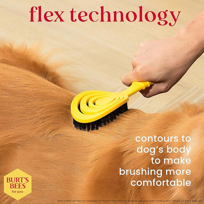 Burt's Bees for Pets Bristle Brush with Natural Boars Hair & Nylon with Handle Made from Recycled Plastics Collected from Coastal Communities - Eco Friendly De-Shedding Dog Brush for Grooming