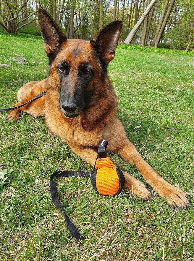 Dingo Gear French Linen Ball for Dog Training, as Reward for Fetch tug of war, with Long Handle, Handmade, Orange-Black S02814