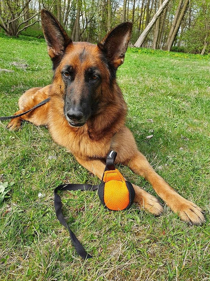 Dingo Gear French Linen Ball for Dog Training, as Reward for Fetch tug of war, with Long Handle, Handmade, Orange-Black S02814
