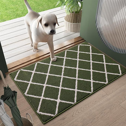 Finchitty Indoor Door Mat, Dirt Resistant and Absorbent, Low-Profile, Non-Slip, Washable Inside Floor Mats for Front Door, Back, and Entrance, 30" x 17", Green