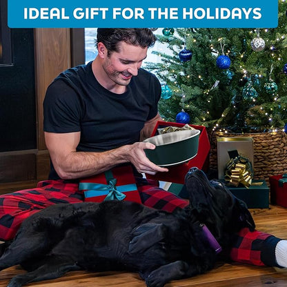 Master Pet Supply Stainless Steel Dog Bowls Set of 2 (32 Oz Each) with Non-Slip Rubber Base - Crimson Flame - Basic Dog Food Bowl Water & Food Bowls for Small Medium Large Dogs & Cats, Metal Dish