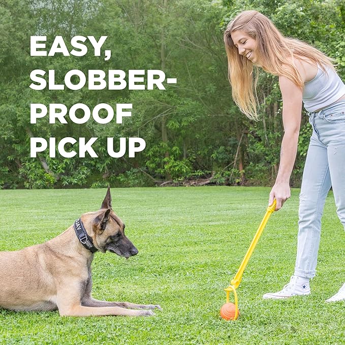 Project Hive Zoomer Stick | Dog Ball Thrower with Set of 2 Looped Dog Balls Included (Green and Blue) | Interactive Dog Toys for Both Land and Water | Balls for Dogs Perfect for Fetch and Tug Play