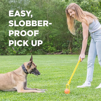 Project Hive Zoomer Stick | Dog Ball Thrower with Set of 2 Looped Dog Balls Included (Green and Blue) | Interactive Dog Toys for Both Land and Water | Balls for Dogs Perfect for Fetch and Tug Play