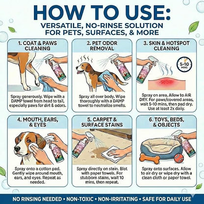 Pet Cleaner & Deodorizer for Dogs & Cats | No-Rinse Electrolyzed Water Formula | Safe for Paws, Coat, Hot Spots & Pet Messes | Fragrance-Free, No Harsh Chemicals | Made in Japan