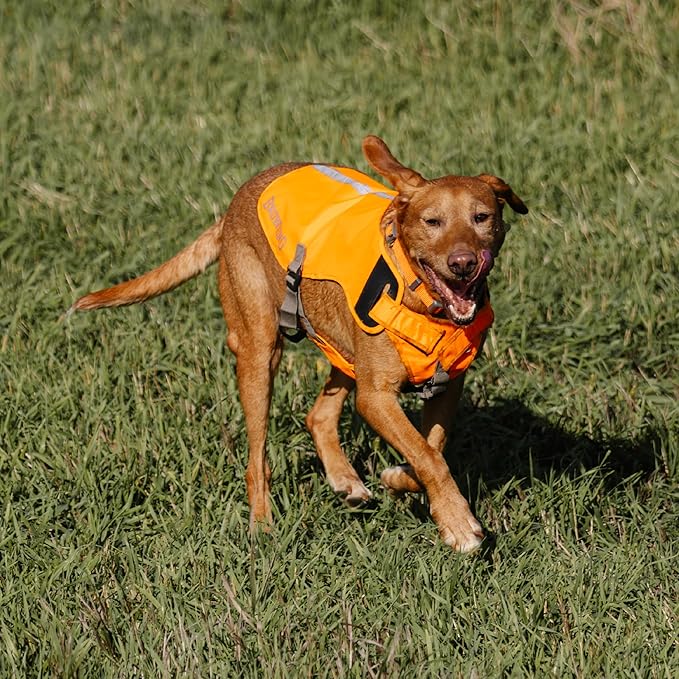 Browning Pet Vests, Hi Vis Safety Vests for Dogs, Safety Orange, Medium, Adjustable Coverage