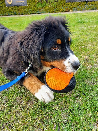 Dingo Gear French Linen Ball for Dog Training, as Reward for Fetch tug of war, with Long Handle, Handmade, Orange-Black S02814