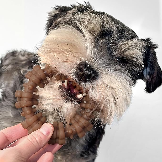 Nylabone Textured Ring Strong Chew Toy for Dogs Made with Real Beef & Chicken, Durable Dog Chew Bones for Aggressive Chewers, Keeps Dogs Busy, Small Dog Toys - Up to 25 lbs, 1 Count