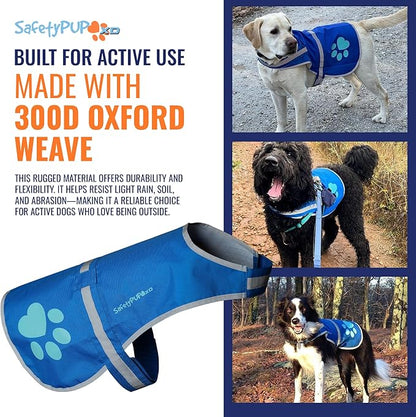 SafetyPUP XD Dog Reflective Vest – Hi-Vis Fluorescent Visibility That Helps to Safeguard Your Pet On/Off Leash in Urban & Rural Areas (Blue, X-Large)