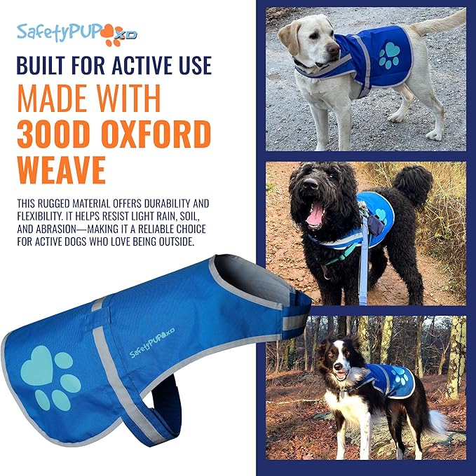 SafetyPUP XD Dog Reflective Vest – Hi-Vis Fluorescent Visibility That Helps to Safeguard Your Pet On/Off Leash in Urban & Rural Areas (Blue, Medium)