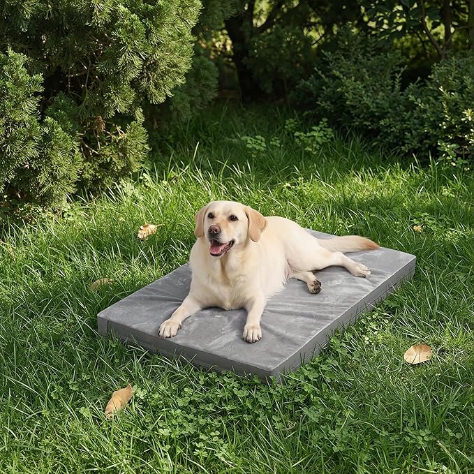 Waterproof Dog Beds Large Sized Dogs, Outdoor Washable Orthopedic Pet Bed with Removable Cover Reversible, Foam Pets Bed Durable Anti-Slip Bottom, 36"x27", Gray