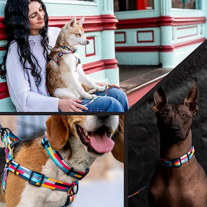 Wolfgang Heavy Duty, Adjustable Dog Collar with Quick Release Nylon Buckle for Walking & Training, Mixtape Print, Medium
