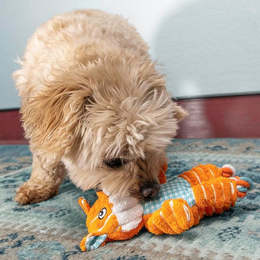 KONG Floppy Knots - Durable No‑Stuffing Squeaky Rope & Plush Dog Toy - for Teething, Playing (Fox, X-Small)