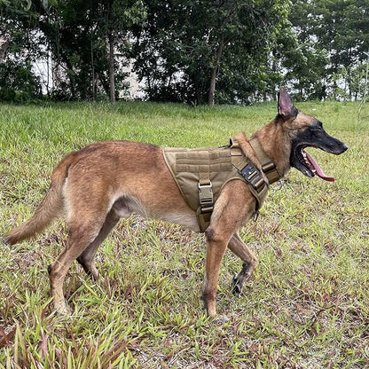 ICEFANG Tactical Dog Harness,X-Large Size, 2X Metal Buckle,Working Dog MOLLE Vest with Handle,No Pulling Front Leash Clip,Hook and Loop Panel