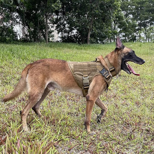 ICEFANG Tactical Dog Harness,X-Large Size, 2X Metal Buckle,Working Dog MOLLE Vest with Handle,No Pulling Front Leash Clip,Hook and Loop Panel