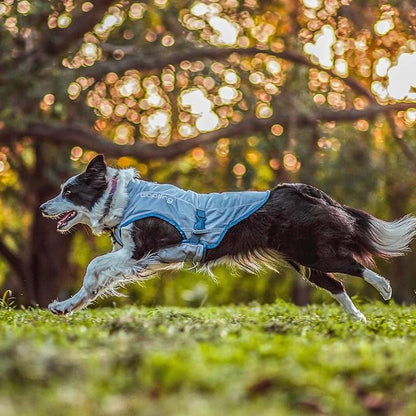 Kurgo Dog Core Cooling Vest - Summer Cooling Jacket - Evaporative Cooling Coat - Harness-Compatible - Reflective Accents - Grey - X-Large
