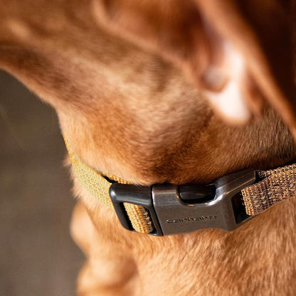 Carhartt Nylon Webbing Dog Collar, Fully Adjustable W/Durable Side Release Buckle, Coral Glow, Large