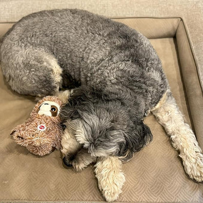 SPOT Fun Sloth Dog Toy - Soft, Stuffed, Squeaky, Plush Fabric Toy for Mini and Small Dogs and Puppies, Enrichment for Light Chewers and Cuddlers, 7in