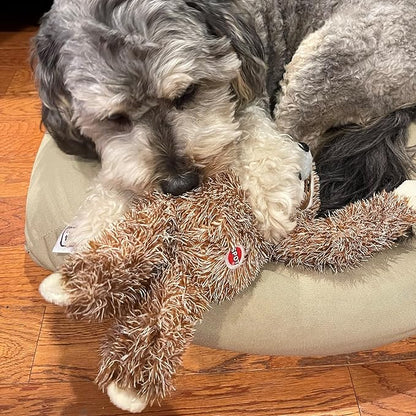 SPOT Fun Sloth Dog Toy - Soft, Stuffed, Squeaky, Plush Fabric Toy for Medium and Large Dogs and Puppies, Enrichment for Light Chewers and Cuddlers, 13in