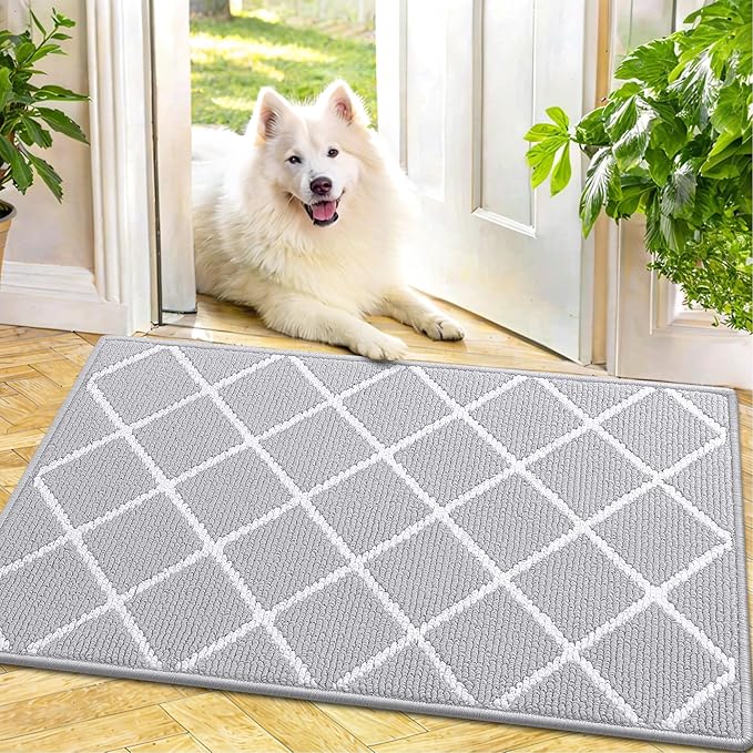 Finchitty Indoor Door Mat, Dirt Resistant and Absorbent, Low-Profile, Non-Slip, Washable Inside Floor Mats for Front Door, Back, and Entrance, 36" x 24", Light Grey