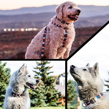 Wolfgang Heavy Duty, Adjustable Dog Collar with Quick Release Nylon Buckle for Walking & Training, LostArt Print, Large