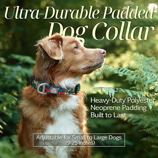 Small Dog Collar with Reflective Logo and Soft Padded Neoprene,Floral Print Design, Adjustable,Lightweight & Durable, Neck Size 9’’-14’’ (Floral, S)