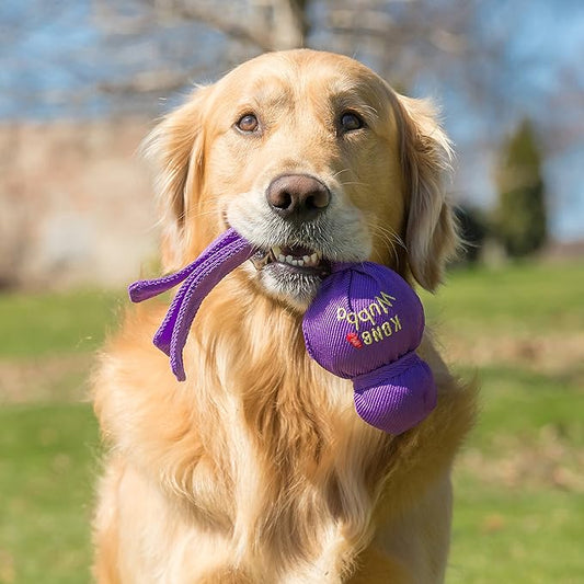 KONG Wubba - Dog Toy for Tug of War & Fetch - Dog Supplies for Puppy & Dog Playtime - Outdoor & Indoor Dog Toy - for Small Dogs