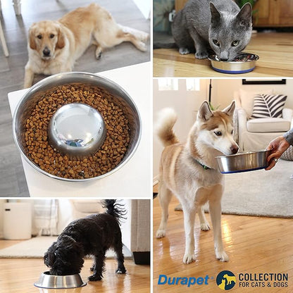 OurPet's DuraPet Premium Dishwasher Safe Stainless Steel Dog Bowl for Food or Water [Multiple Sizes for Small to Large Dogs] in Traditional or Wide Base Design - 8 CUP