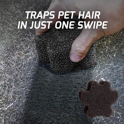 Turtle Wax 50692 Power Out Pet Mess Kit