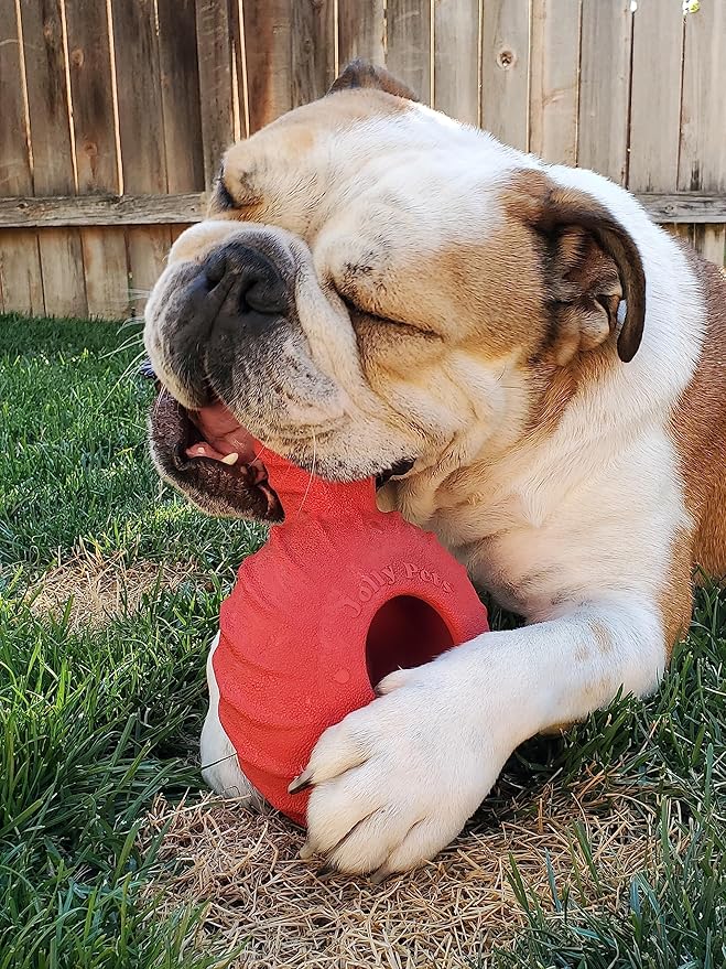 Jolly Pets Tuff Treader Dog Toy with Handle, 6 Inches, Red, Model:JTR23, All Breed Sizes