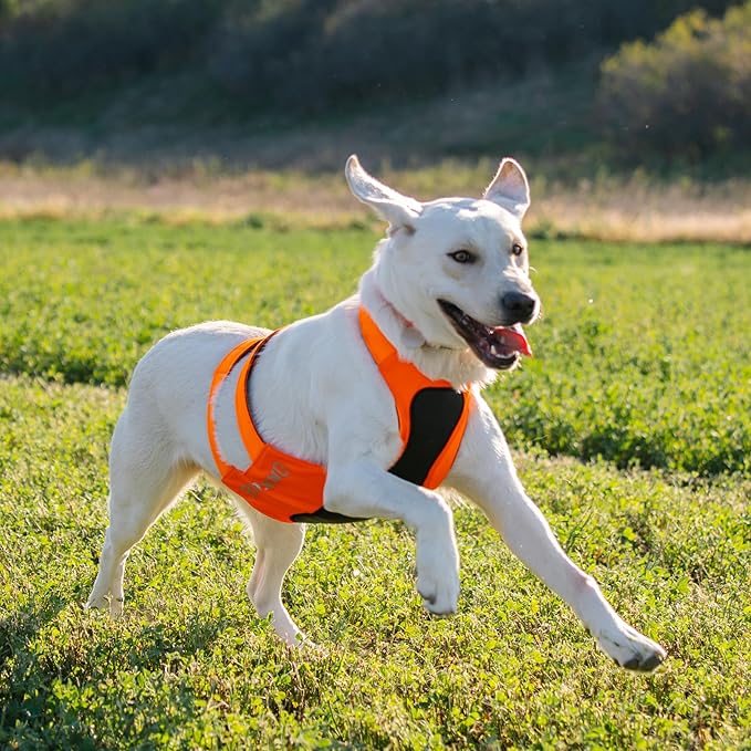 Browning Pet Vests, Hi Vis Safety Vests for Dogs, Safety Orange, Medium, Chest Protection Vest