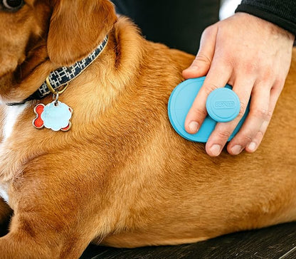 Dexas BrushBuster Silicone Gentle Dog Grooming and Massage Brush