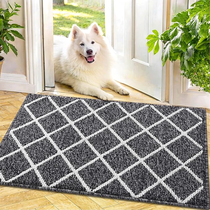 Finchitty Indoor Door Mat, Dirt Resistant and Absorbent, Low-Profile, Non-Slip, Washable Inside Floor Mats for Front Door, Back, and Entrance, 30" x 17", Black
