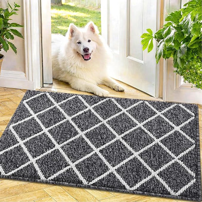 Finchitty Indoor Door Mat, Dirt Resistant and Absorbent, Low-Profile, Non-Slip, Washable Inside Floor Mats for Front Door, Back, and Entrance, 30" x 17", Black