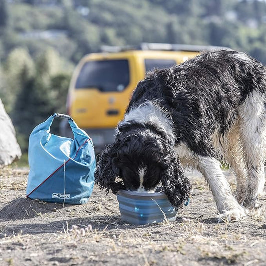 Kurgo Kibble Carrier - Portable Kibble Carrier - Compact Travel Storage - Dog Food Dry Bag - Camping Dog Storage - 5 lb Capacity - Coastal Blue