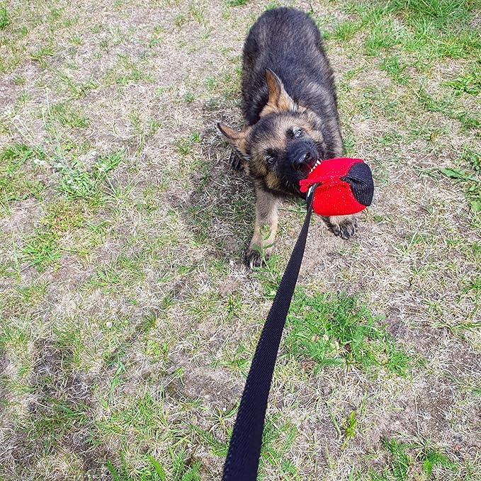 Dingo Gear French Linen Ball for Dog Training, as Reward for Fetch tug of war, with Long Handle, Handmade, red-Black S02813