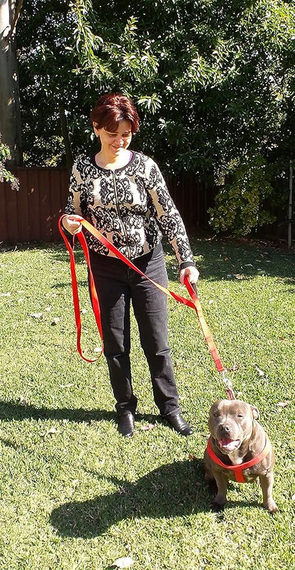 Primal Pet Gear Dog Leash 6ft Long,Traffic Padded Two Handle,Heavy Duty,Reflective Double Handles Lead for Control Safety Training,Leashes for Large Dogs or Medium Dogs,Dual Handles Leads(Red)