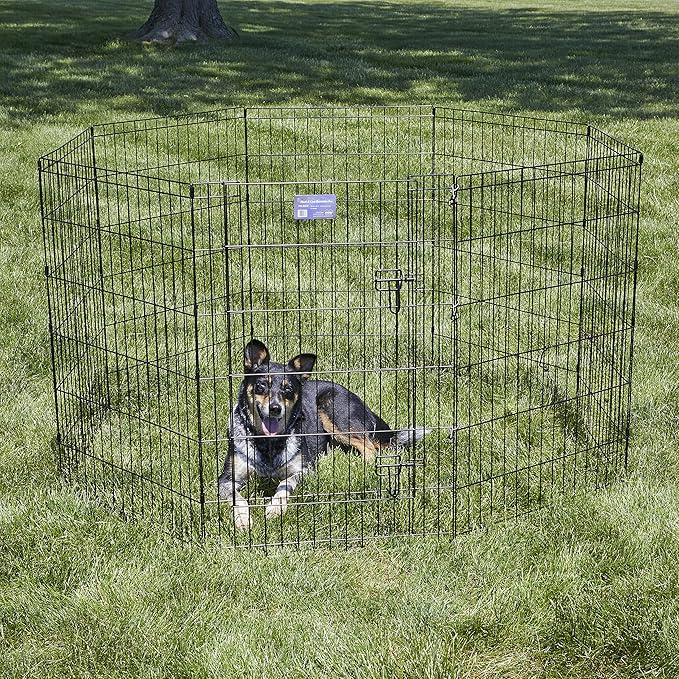 MidWest Homes for Pets 36-Inch Exercise Pen, for Indoor and Outdoor Use, 16 Sq Feet of Play, Single Door Folding Dog Pen, with Large Door Opening & Secure Latch, Easy to Set Up, Foldable Dog Playpen
