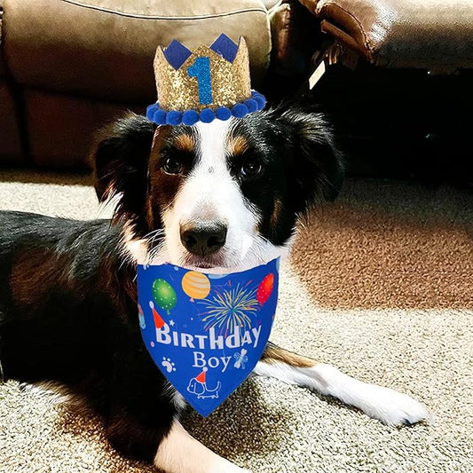 ADOGGYGO Dog Bandana Hat Set for Birthday Party Supply, Boy Girl Pet Birthday Scarf for Medium Large Dog (Large, Blue)