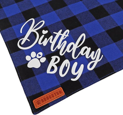 ADOGGYGO Dog Birthday Party Supplies, Blue Plaid Birthday Boy Dog Bandana, Golden Puppy Party Hat with Numbers, Bowtie for Small Puppies (Small)