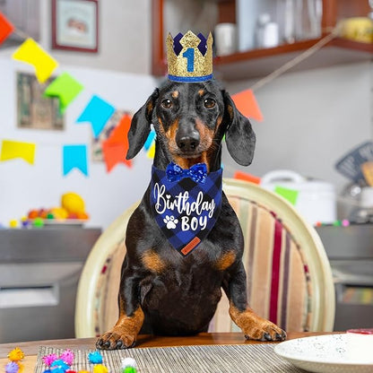 ADOGGYGO Dog Birthday Party Supplies, Blue Plaid Birthday Boy Dog Bandana, Golden Puppy Party Hat with Numbers, Bowtie for Small Puppies (Small)