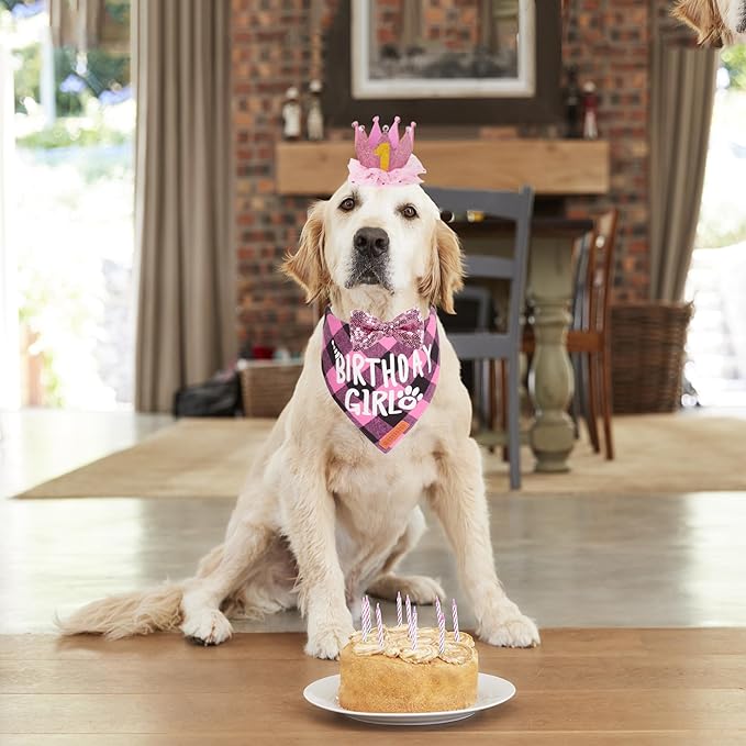 ADOGGYGO Dog Birthday Party Supplies, Multi Size Offered, Birthday Girl Dog Bandana, Pink Party Hat Crown with Numbers for Medium Large Dogs Pets (Large)
