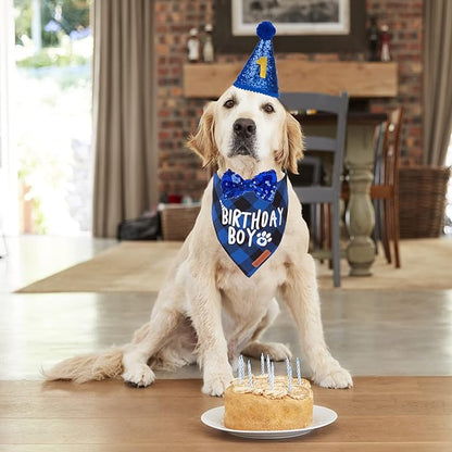 ADOGGYGO Dog Birthday Party Supplies, Multi Size Offered, Blue Birthday Boy Dog Bandana, Pet Party Hat with Numbers Bow for Medium Large Pets (Large)