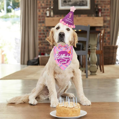 ADOGGYGO Dog Birthday Party Supplies, Pink Birthday Girl Pet Bandana Hat Bowtie Set for Medium Large Dogs (Large)