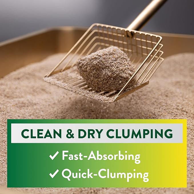 ARM & Hammer Plant Power Lightweight Plant-Based Clumping Cat Litter for Multi-Cat Homes, 14-Day Odor Control, Highly Absorbent Natural Grain Formula, Unscented 15 Lbs