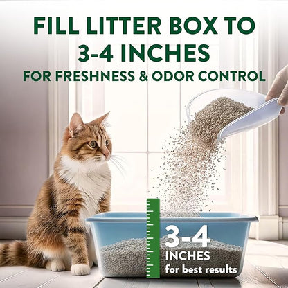 ARM & Hammer Plant Power Lightweight Plant-Based Clumping Cat Litter for Multi-Cat Homes, 14-Day Odor Control, Highly Absorbent Natural Grain Formula, Unscented 15 Lbs